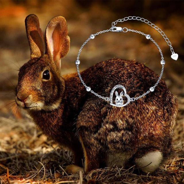 Bracelet en argent sterling avec pendentif lapin et coeur en zircon cubique et mot gravé-2
