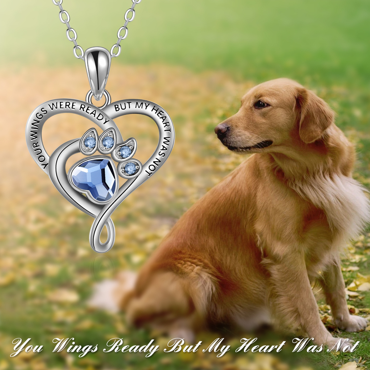 Sterling Silver Crystal Paw & Heart Urn Necklace for Ashes with Engraved Word-6