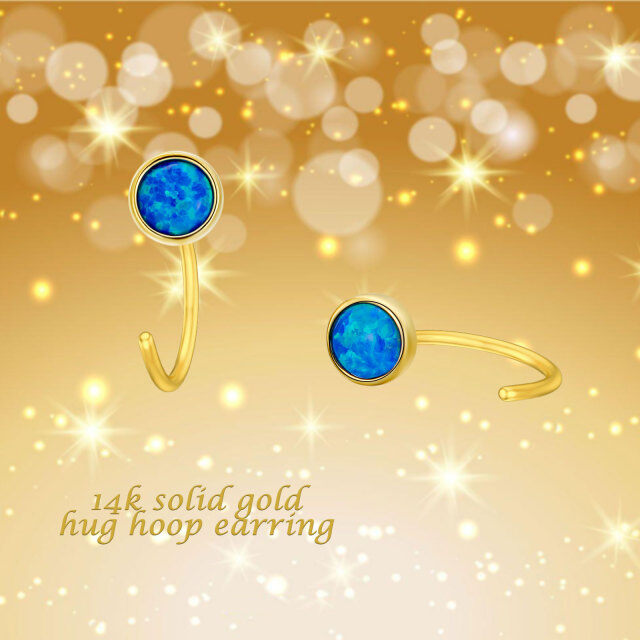 14K Gold Opal Drop Earrings-4