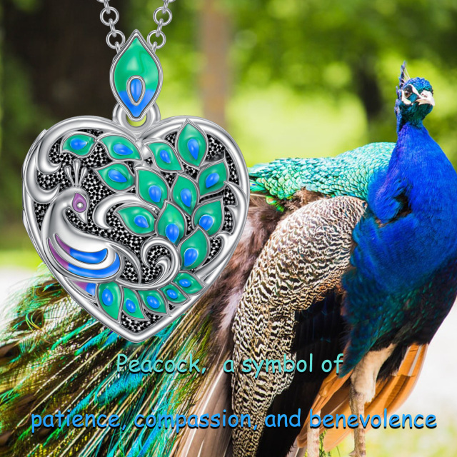 Sterling Silber Pfau Herz personalisierte Foto Medaillon Halskette-5