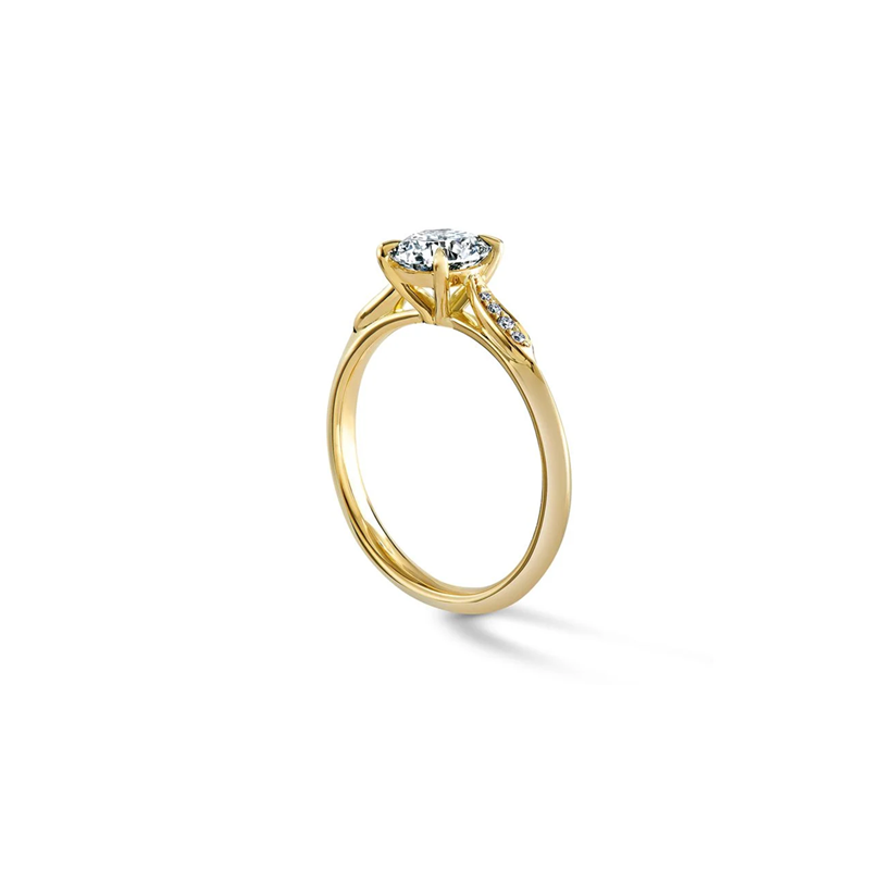 18K Gold Moissanite Circle Engagement Ring-4