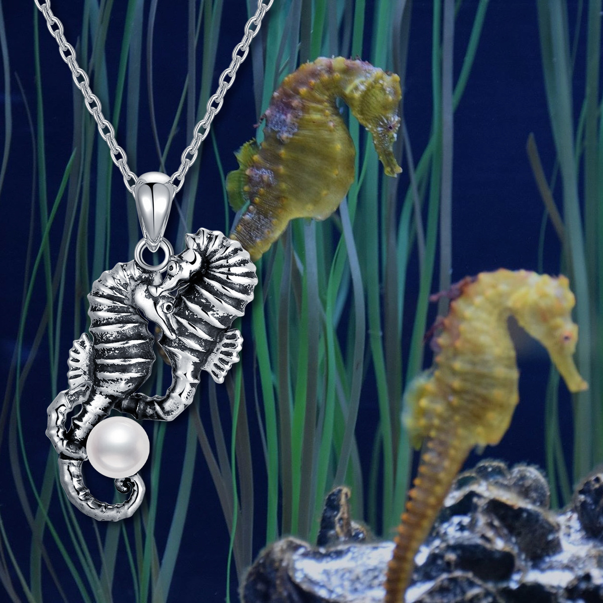 Sterling Silber kreisförmig Perle Seepferdchen Anhänger Halskette-6