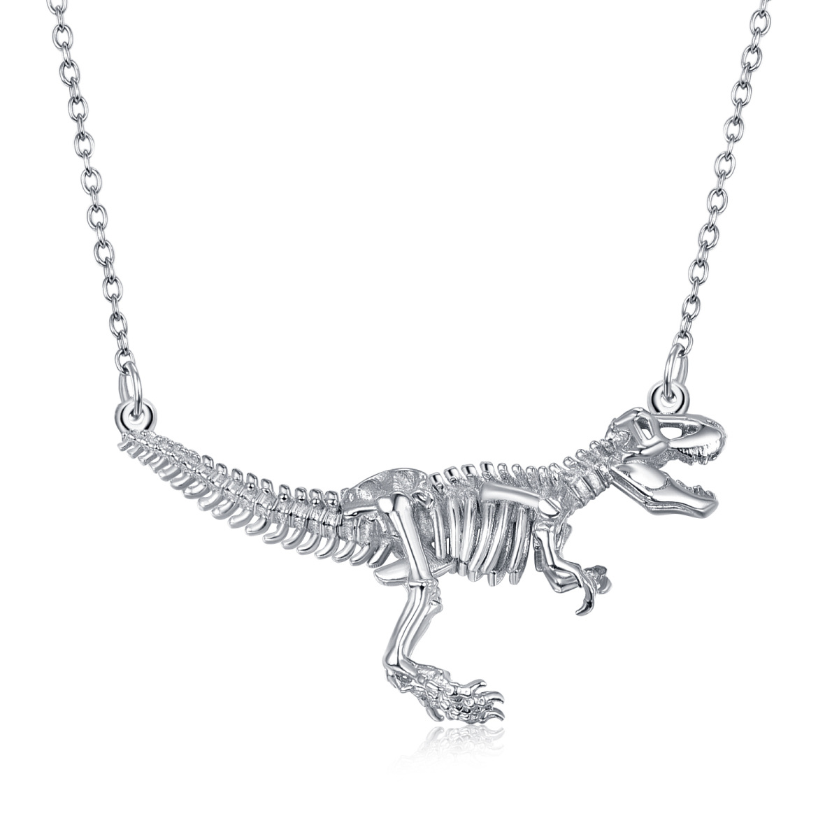 Sterling Silver Dinosaurs Coin Pendant Necklace-1