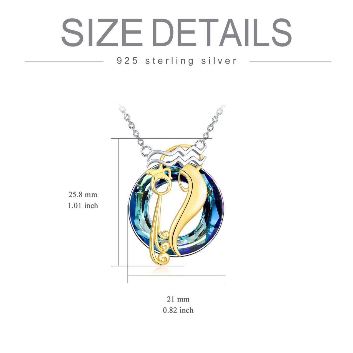 Sterling Silver Two-tone Round Aquarius Crystal Pendant Necklace-4