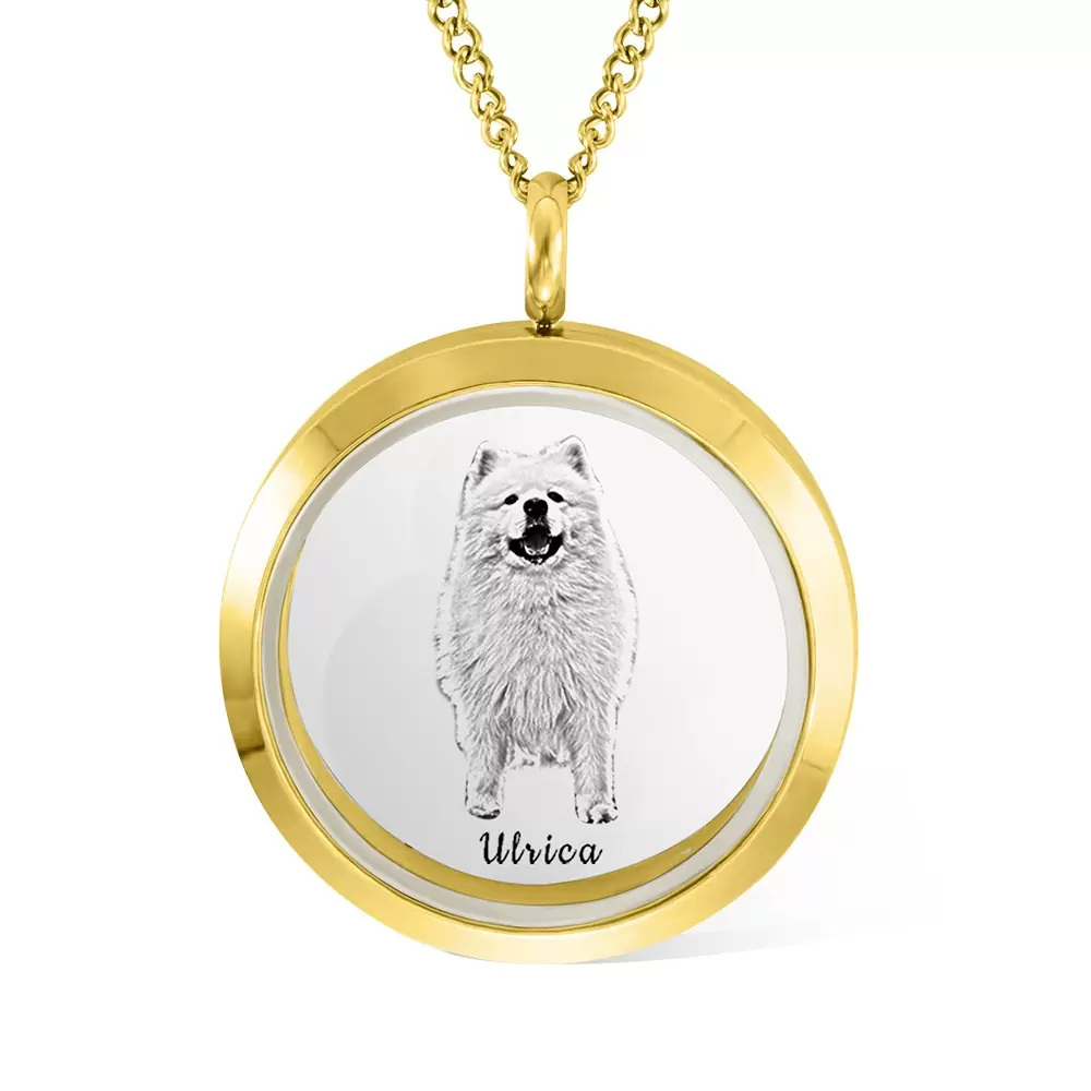 Collar con medallón con foto personalizado de gato de acero inoxidable con grabado personalizado chapado en oro blanco-1