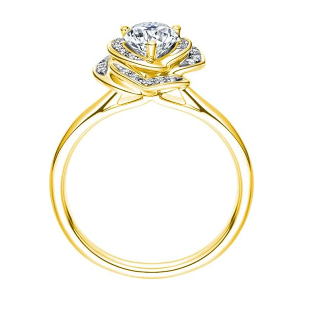 Bague de mariage en forme de cœur en forme de cœur circulaire en or 10 carats en moissanite-3