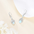 wholesale 925 Sterling Silver Cubic Zirconia Blue Moonstone Leaf Drop Earrings For Women-0-5